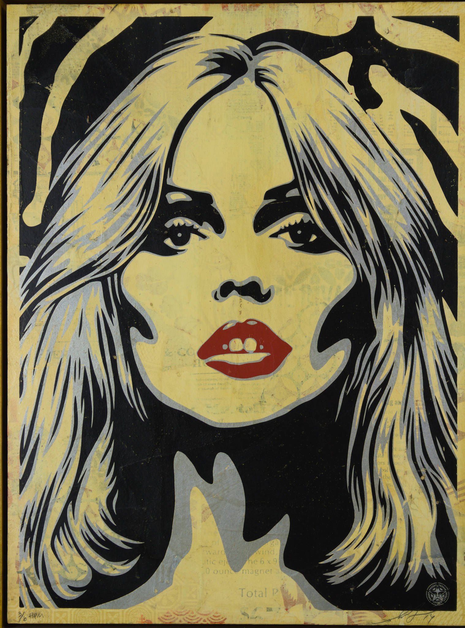 Shepard Fairey – Art and Collectors