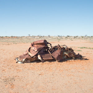 Christopher Rimmer 'The Car That Fell to Earth, South Australia'