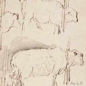 Artist  Unknown 'Untitled (Study of Sheep)'