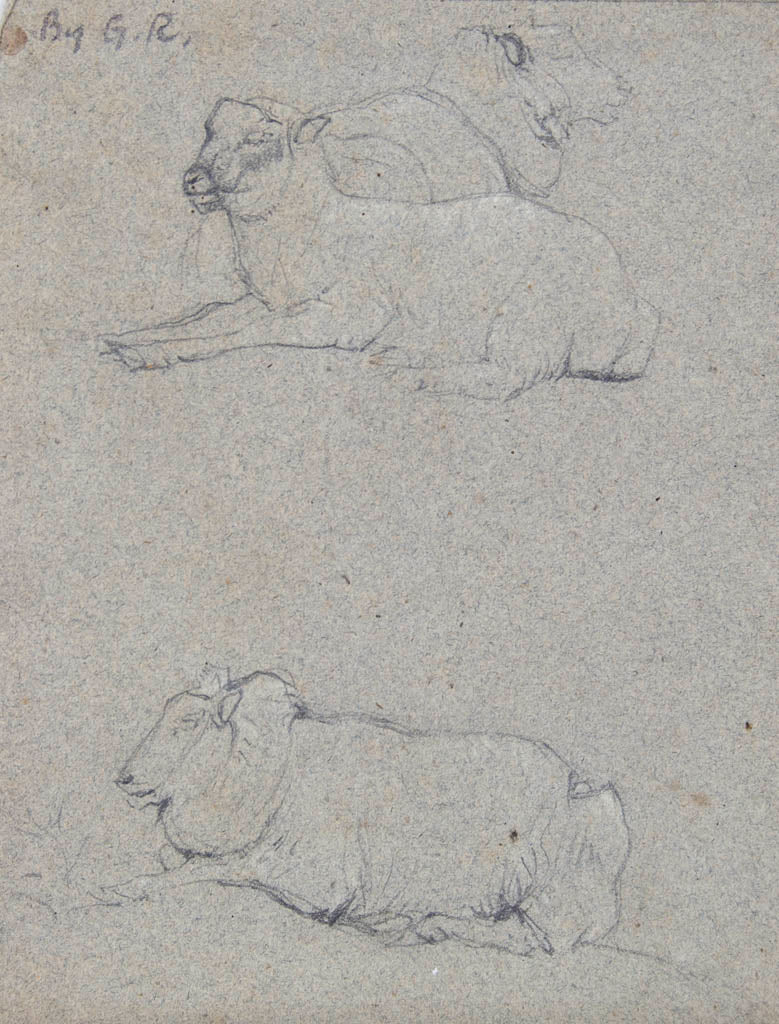 Artist Unknown 'Sheet of sheep studies'
