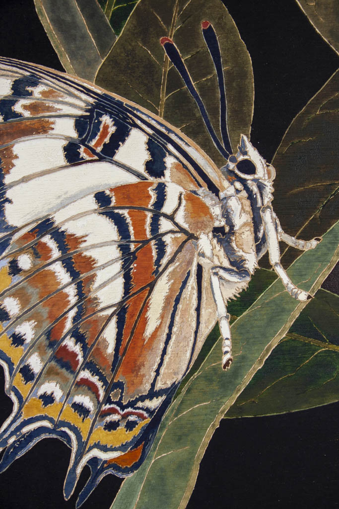 Cressida Campbell 'Resting Butterfly'