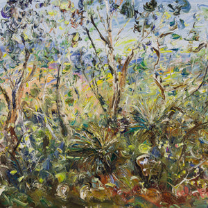 Celia Perceval 'Grass Trees and Wattle in the Sunlight'