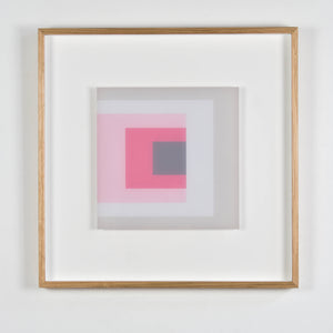 Clayton Tremlett 'An Exploration of the Square using the Colours of a Galah #1'