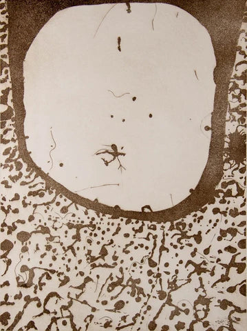 The Year in Review: Reflecting on the losses, honors and new life from 2023