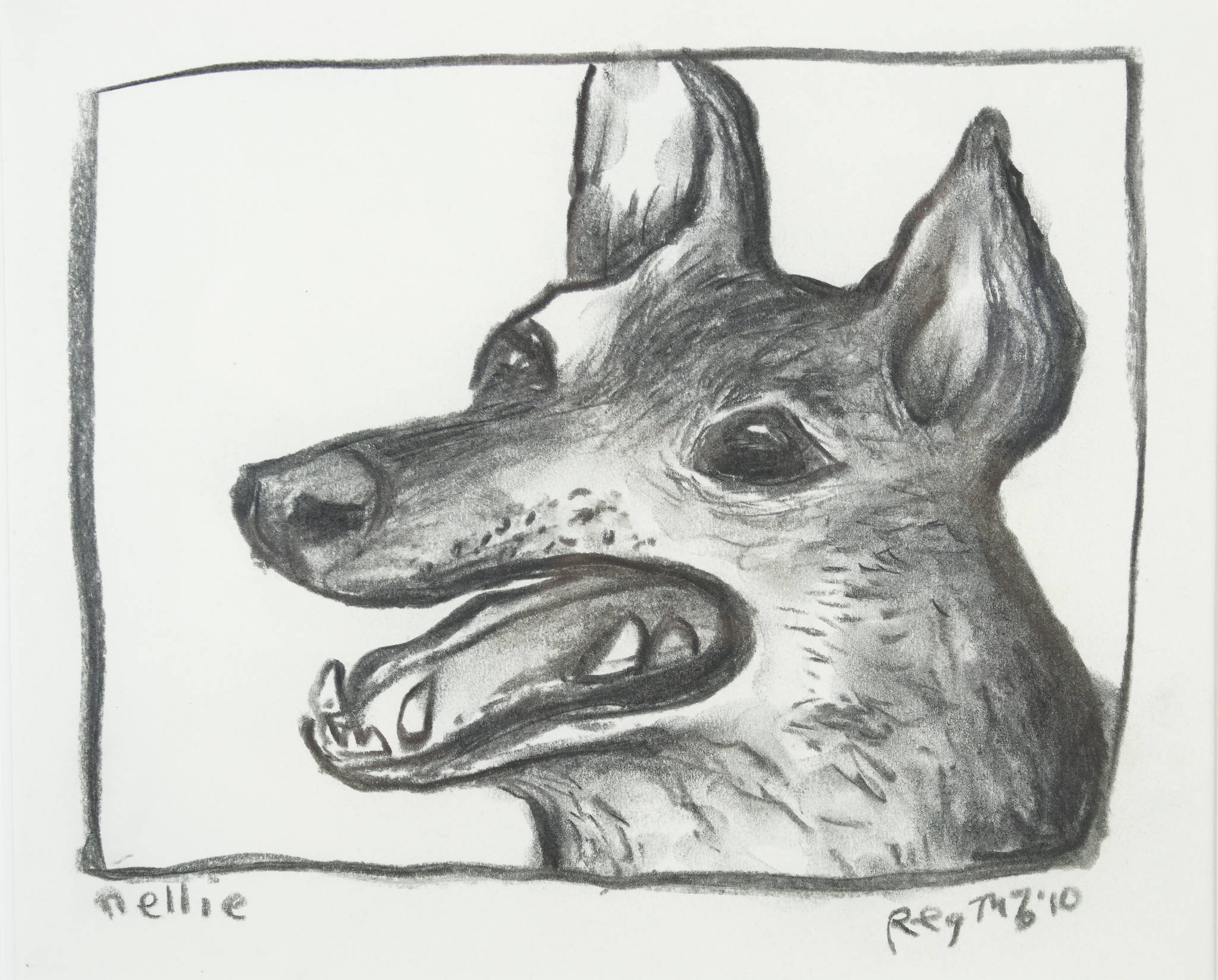 Animalia | The Symbology of Animals
