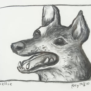 Animalia | The Symbology of Animals