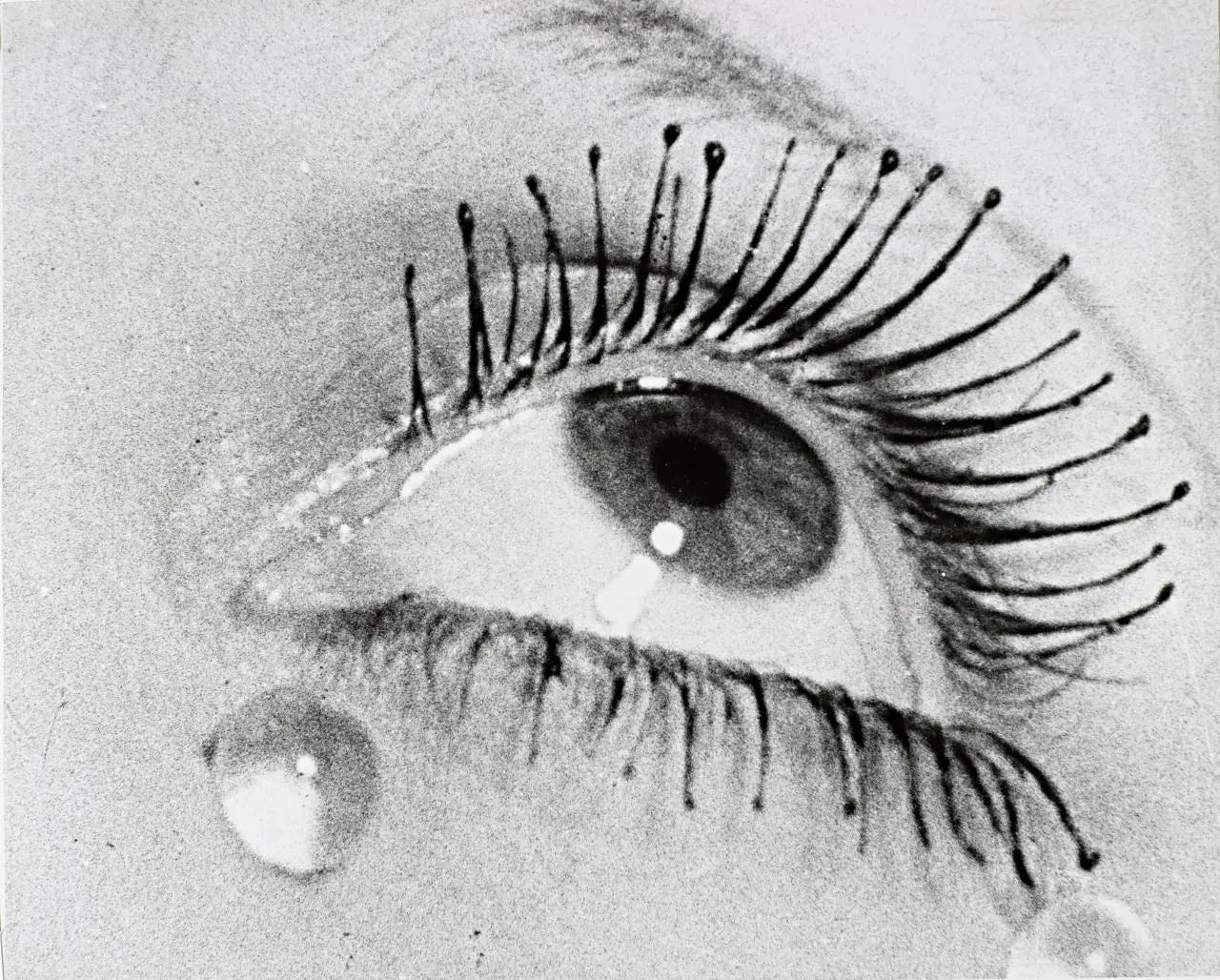 Max Dupain