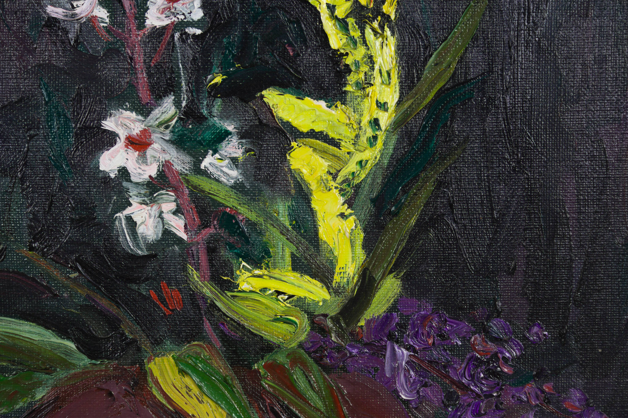 Rick Amor 'Bush Flowers'