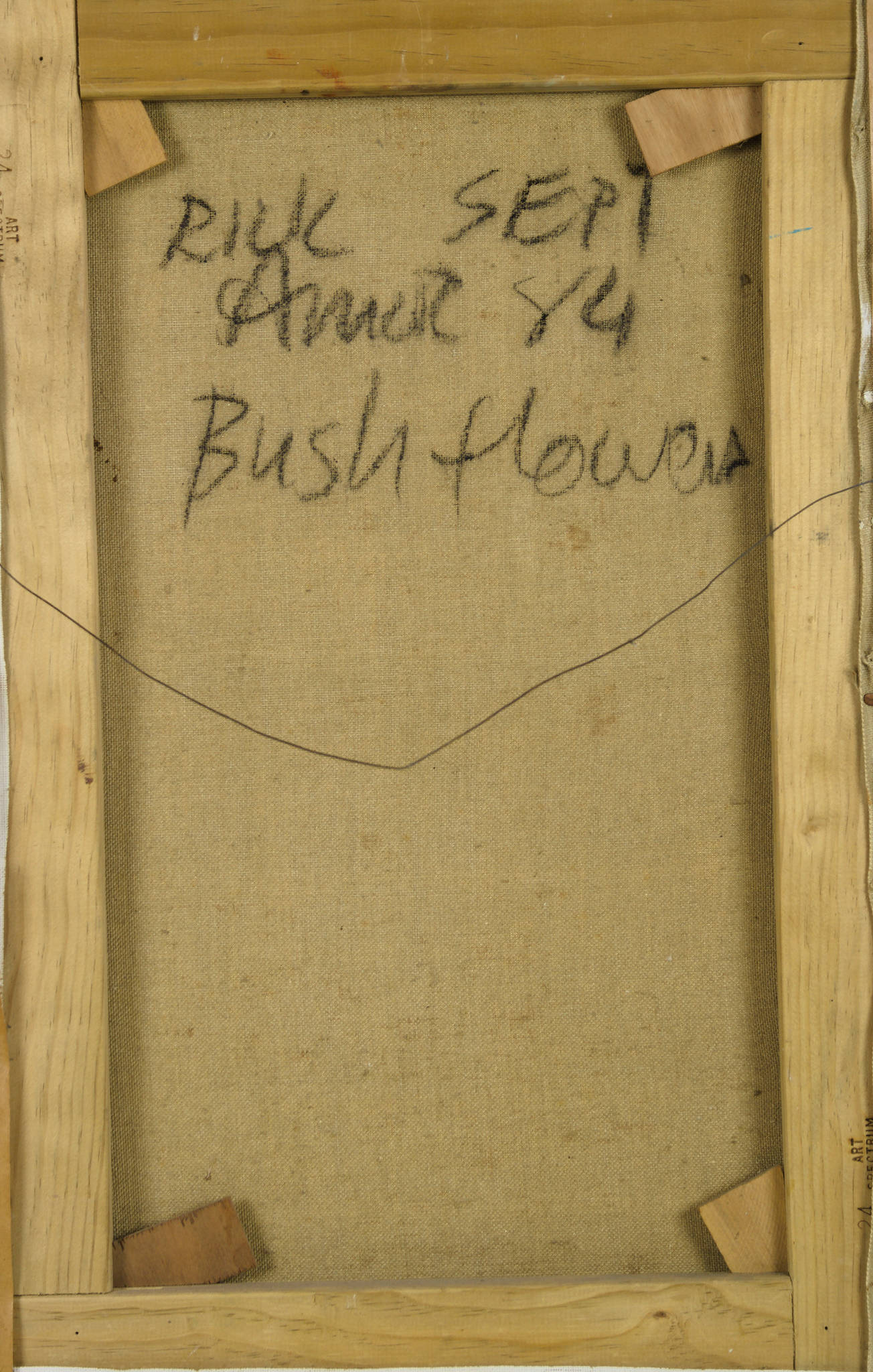 Rick Amor 'Bush Flowers'