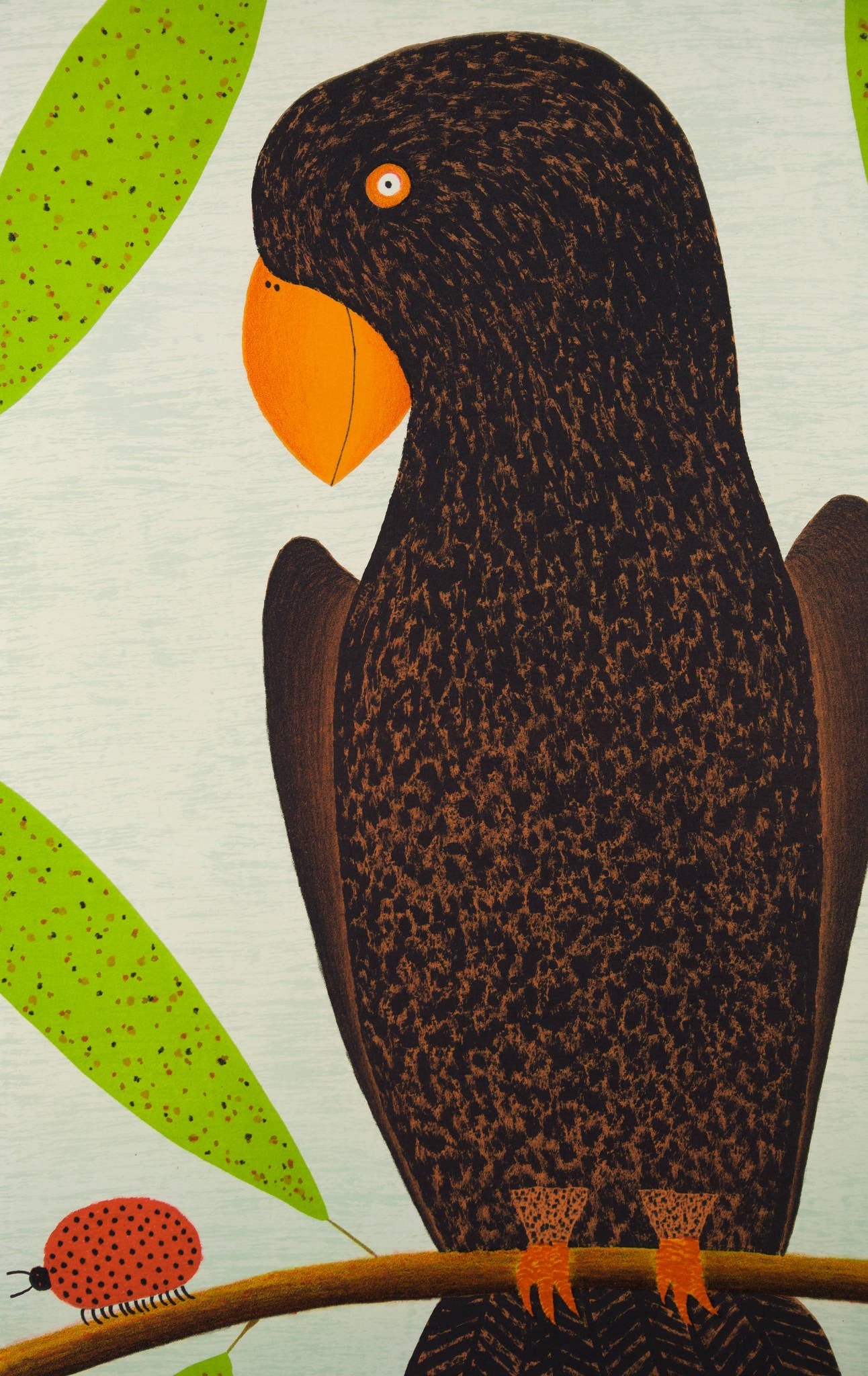 Dean Bowen 'Bird Watching Large Beetle'