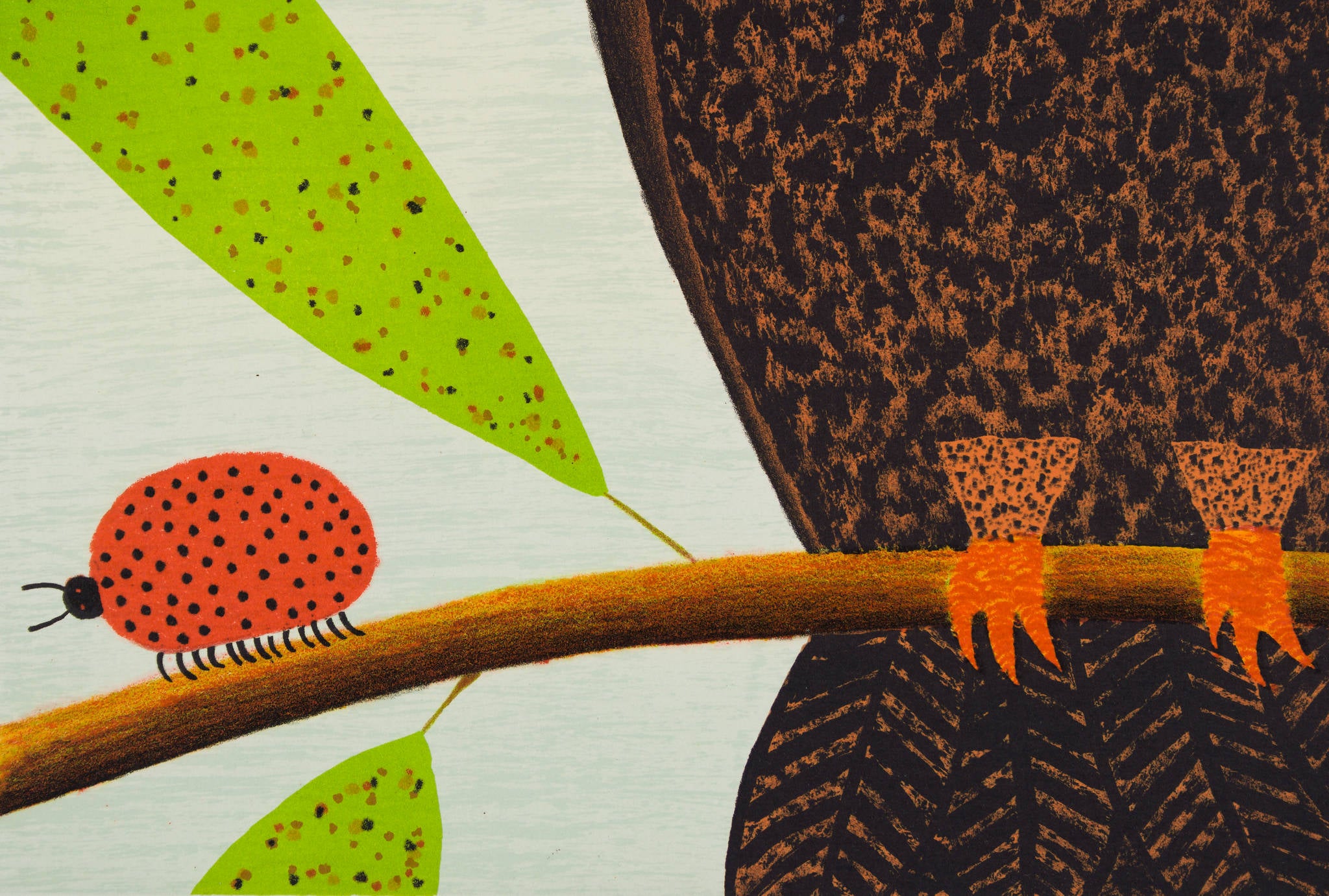 Dean Bowen 'Bird Watching Large Beetle'