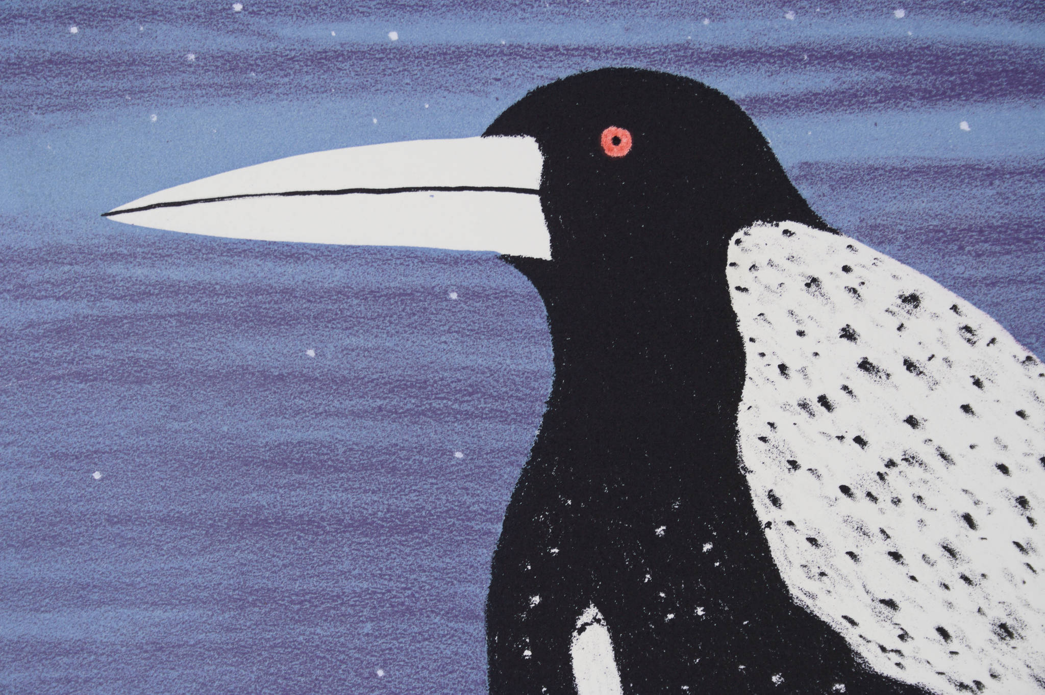 Dean Bowen 'Twilight Magpie'