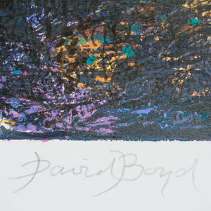 David Boyd 'The Wanderer'