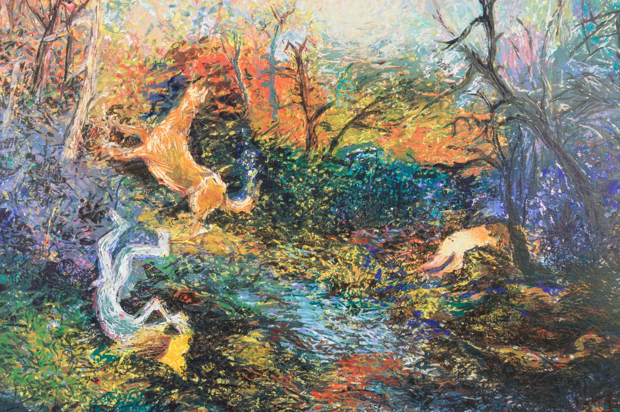 David Boyd 'The Wanderer'