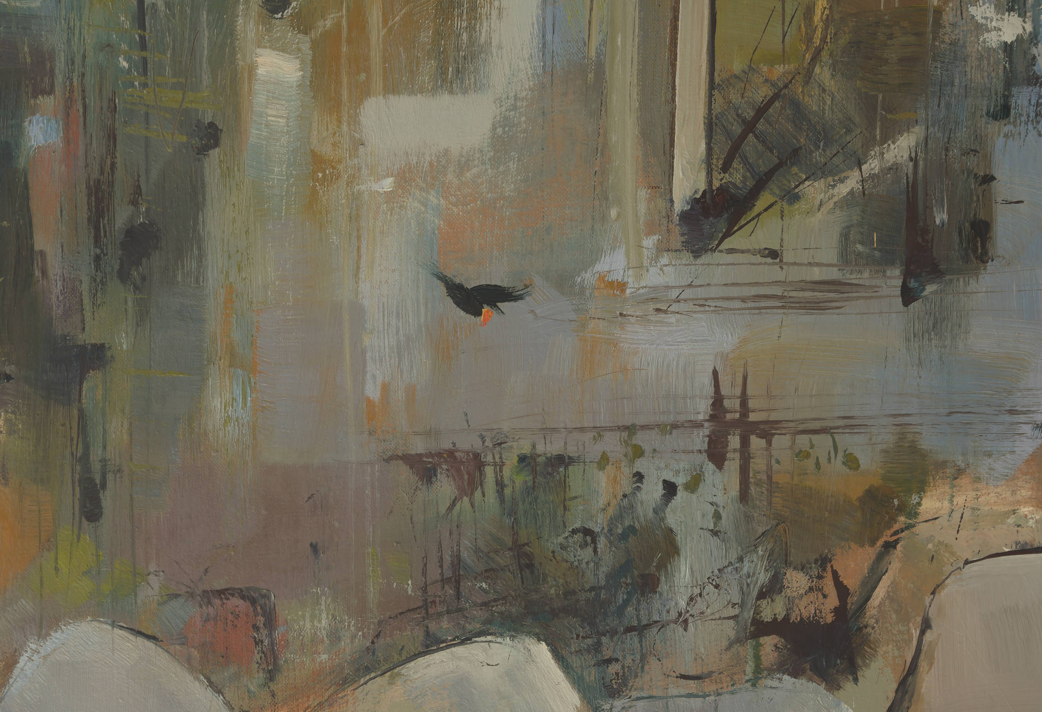 Jamie Boyd 'Shoalhaven'