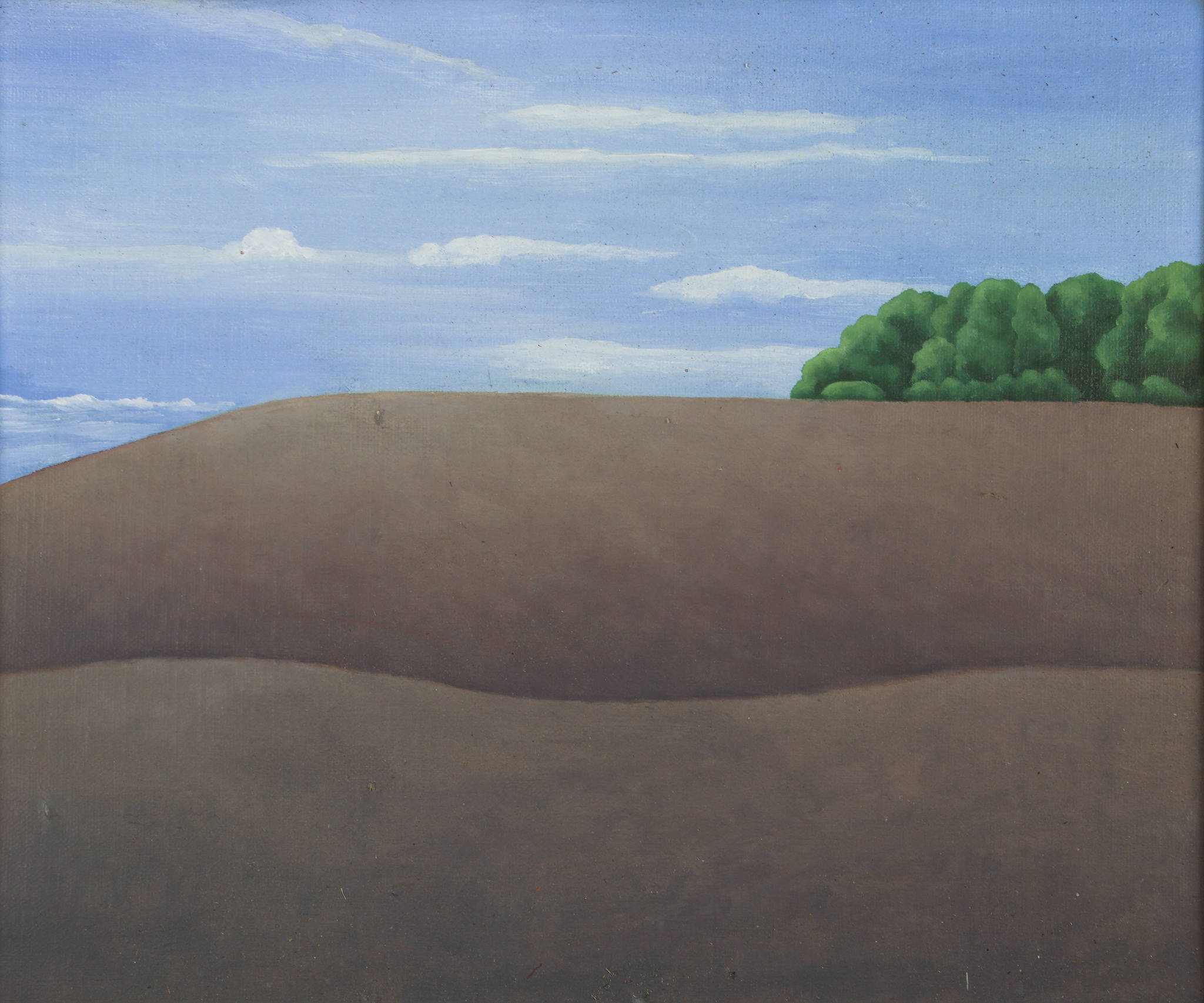 Ann Brain 'Ploughed Field 2'