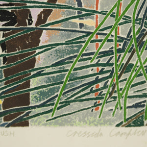 Cressida Campbell 'The Bush'