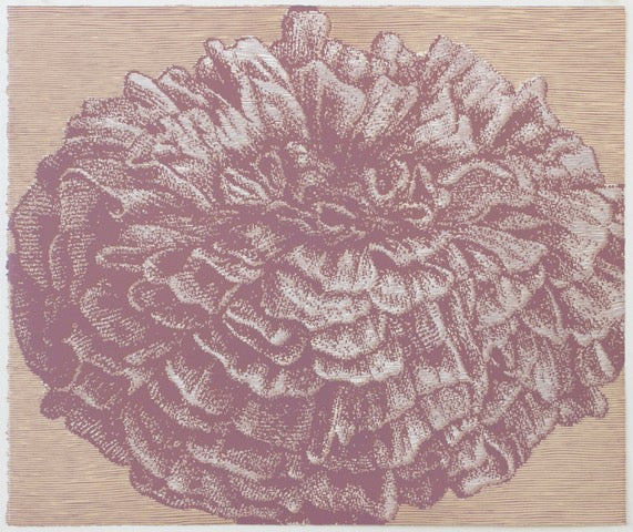 Violeta Capovska 'Ana Pavlova 8'