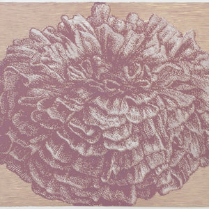 Violeta Capovska 'Ana Pavlova 8'