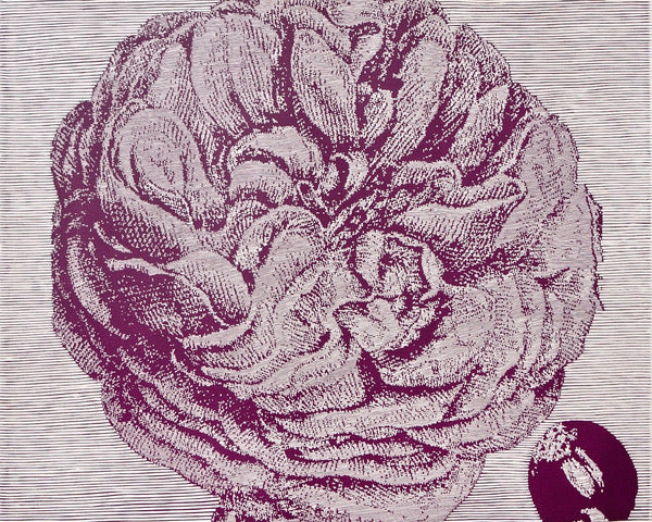 Violeta Capovska 'Heart Corolla'