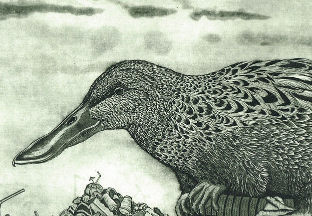 Hannah Caprice 'Floating among the reeds'