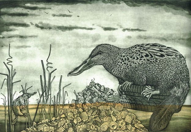 Hannah Caprice 'Floating among the reeds'