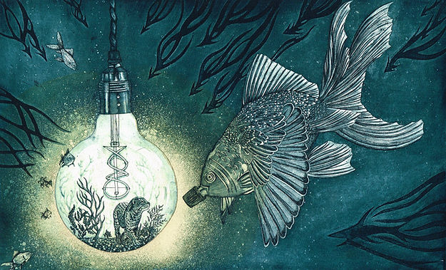 Hannah Caprice 'Gone, fishing go '