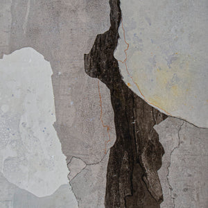 Laura Castell 'Bark Landscape 2'
