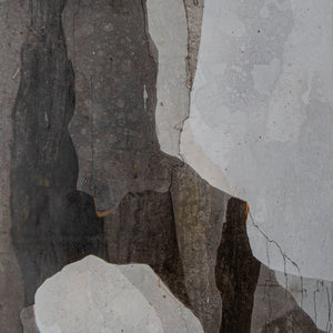 Laura Castell 'Bark Landscape 3'