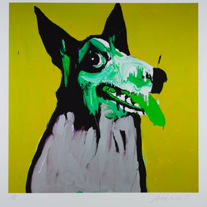 Adam Cullen 'Mustard Growler (Green Tongue)'