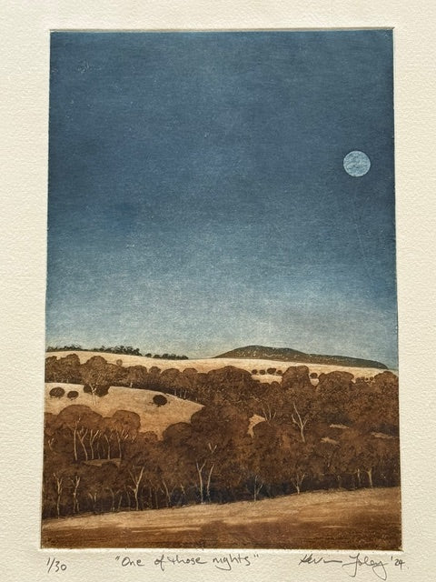 Kevin Foley 'One of those nights'