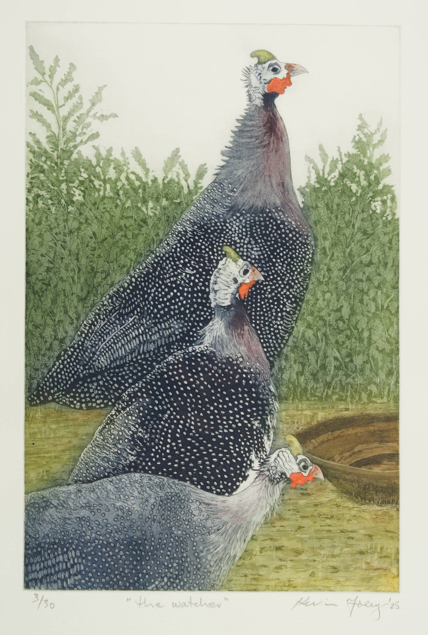 Kevin Foley 'The Watcher'