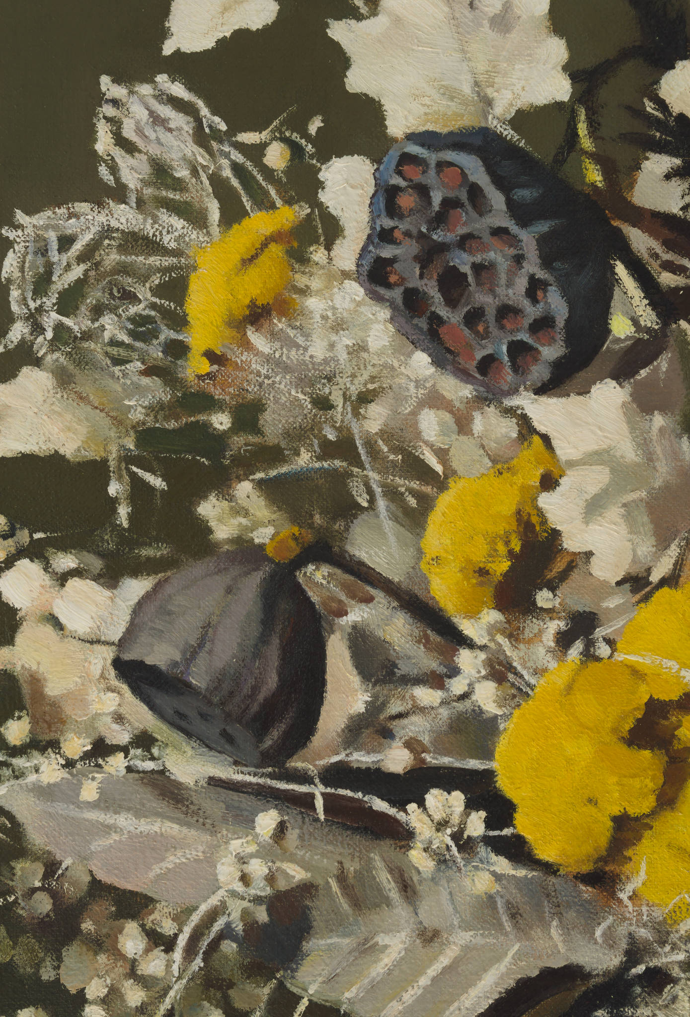 Harley Cameron Griffiths 'Still Life'