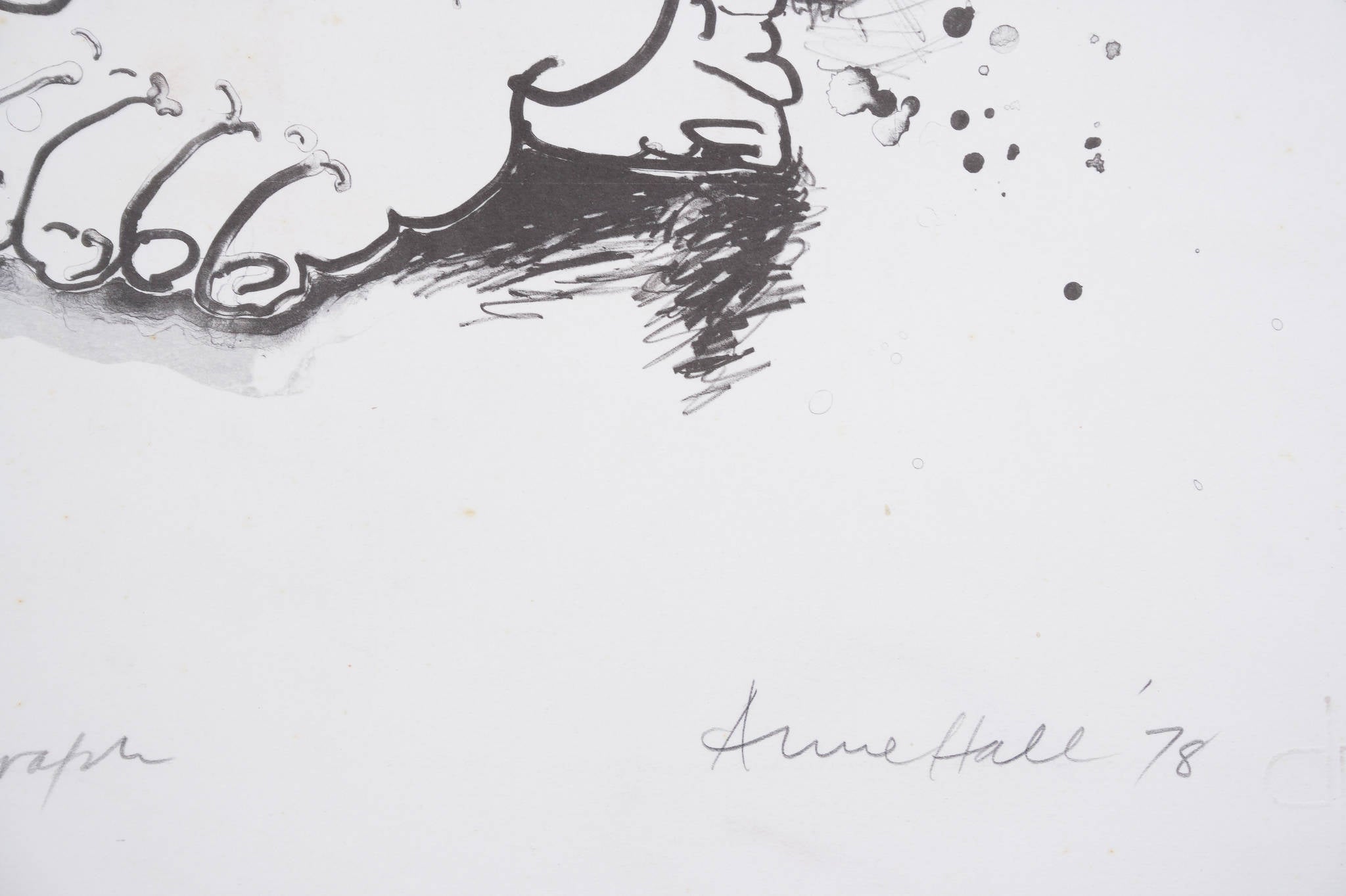 Anne Marie Hall 'Five Footed Lithograph'