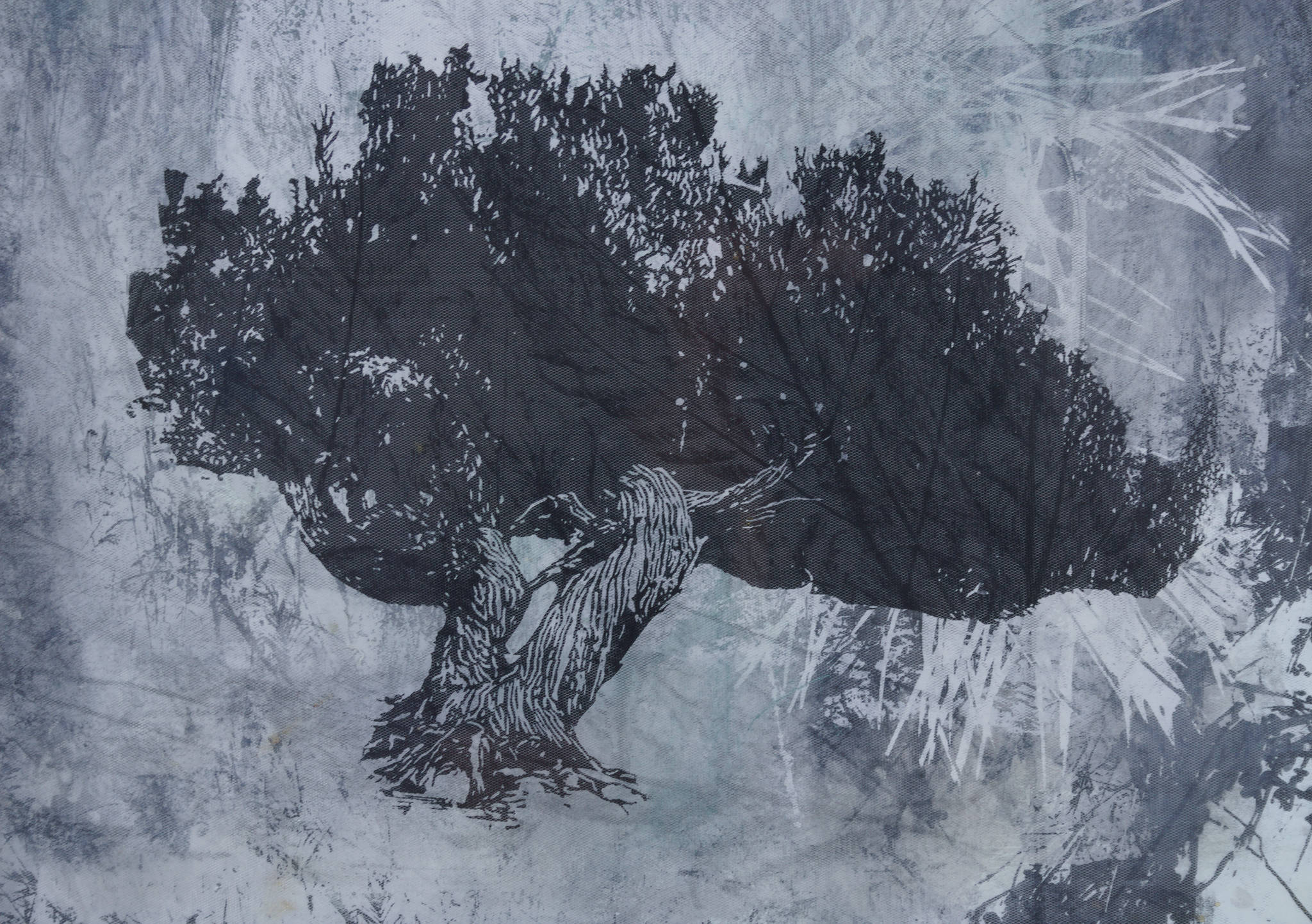 Jodi Heffernan 'Coastal Walk'