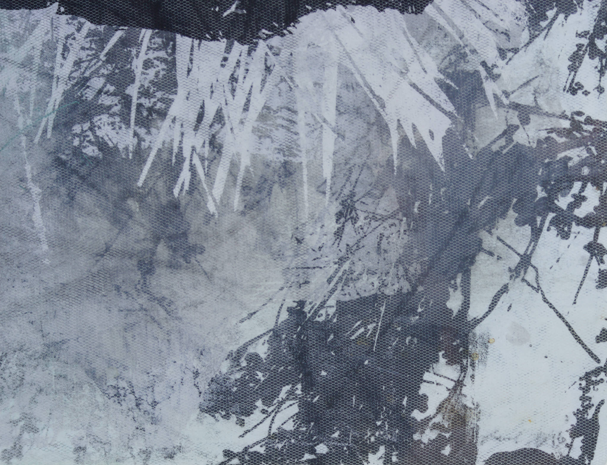 Jodi Heffernan 'Coastal Walk'