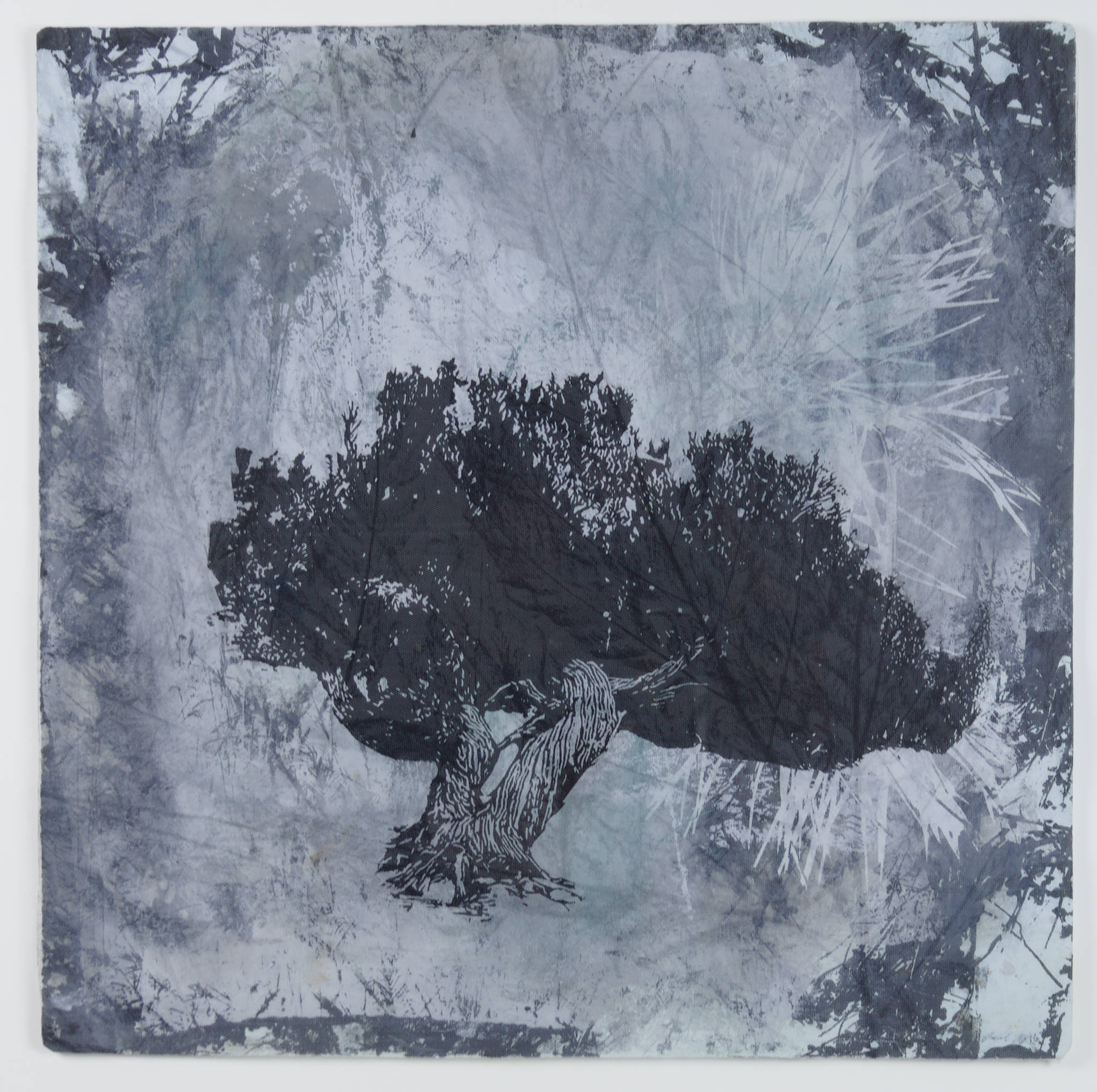 Jodi Heffernan 'Coastal Walk'