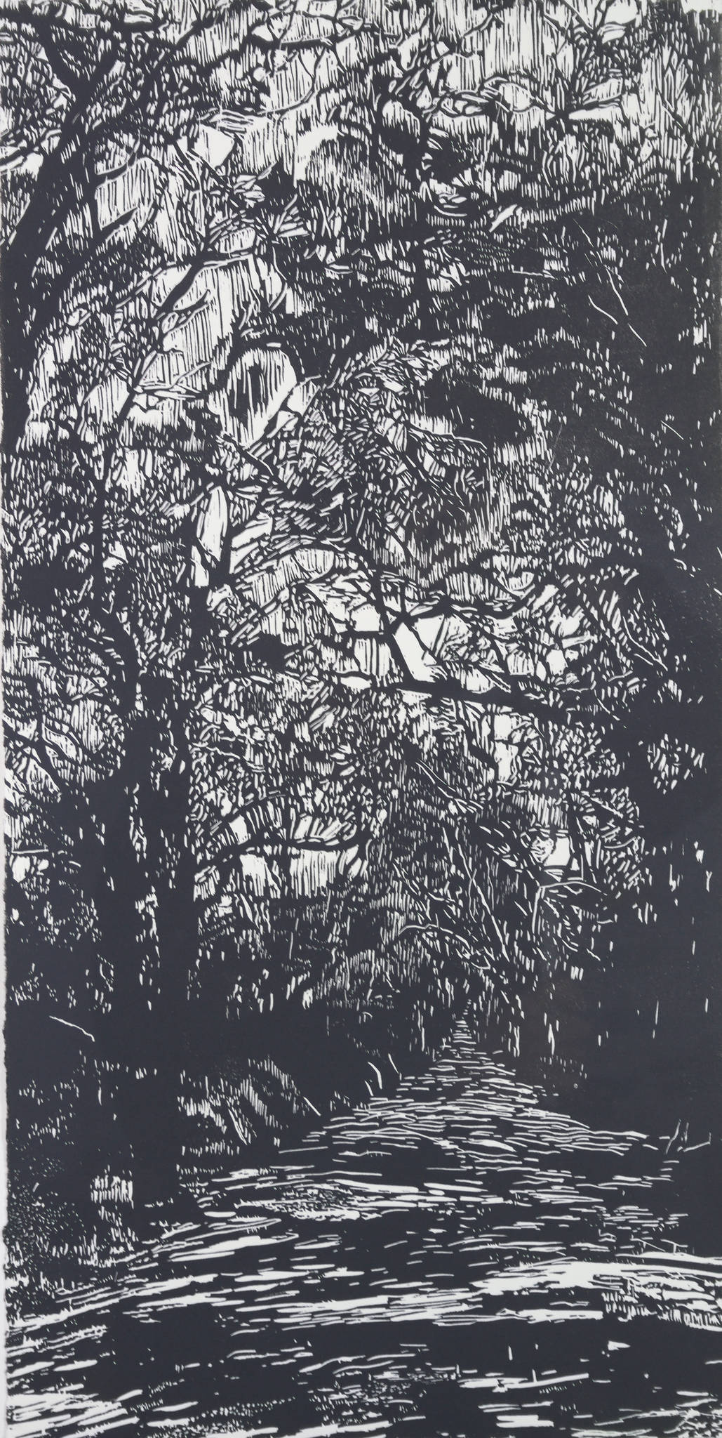 Jodi Heffernan 'Stumpy Gully Road'