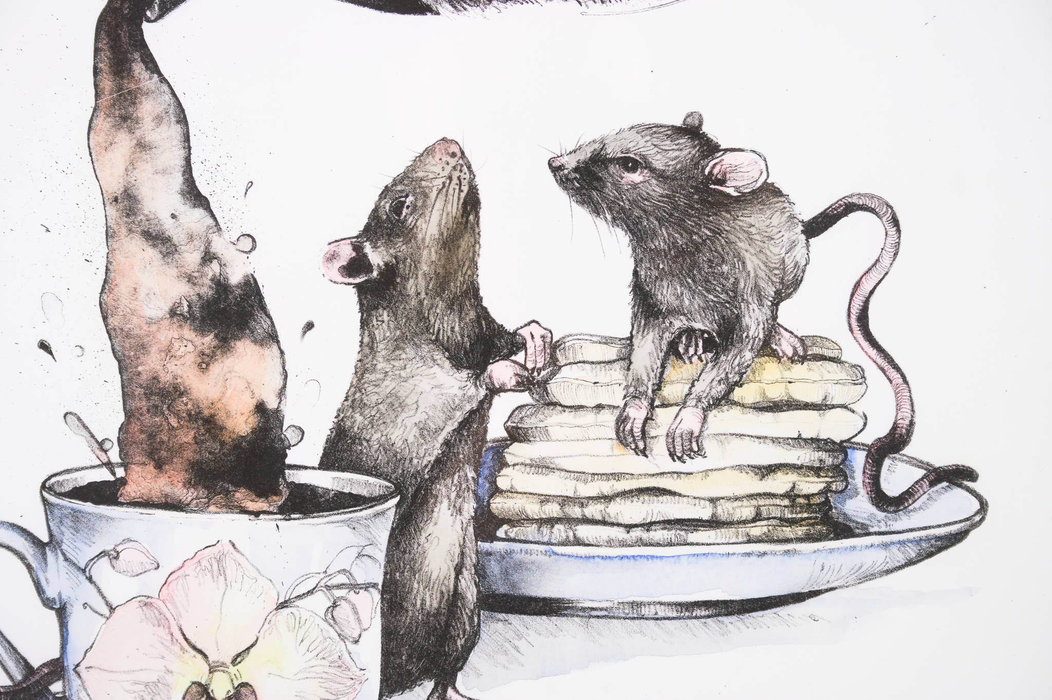 Nicola Hooper 'Love Potion'