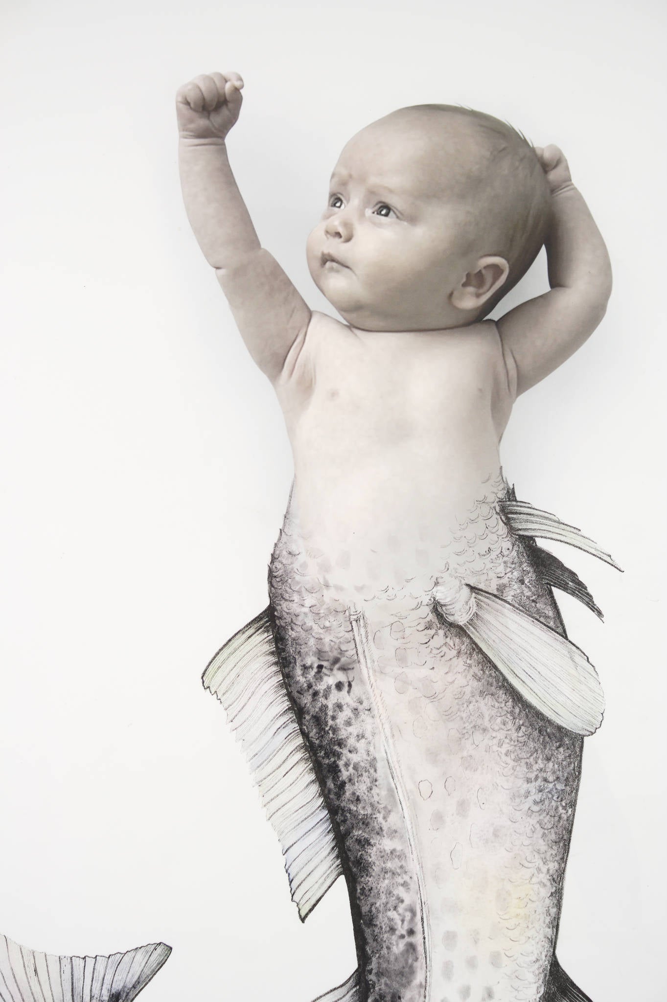 Nicola Hooper 'Merbaby'