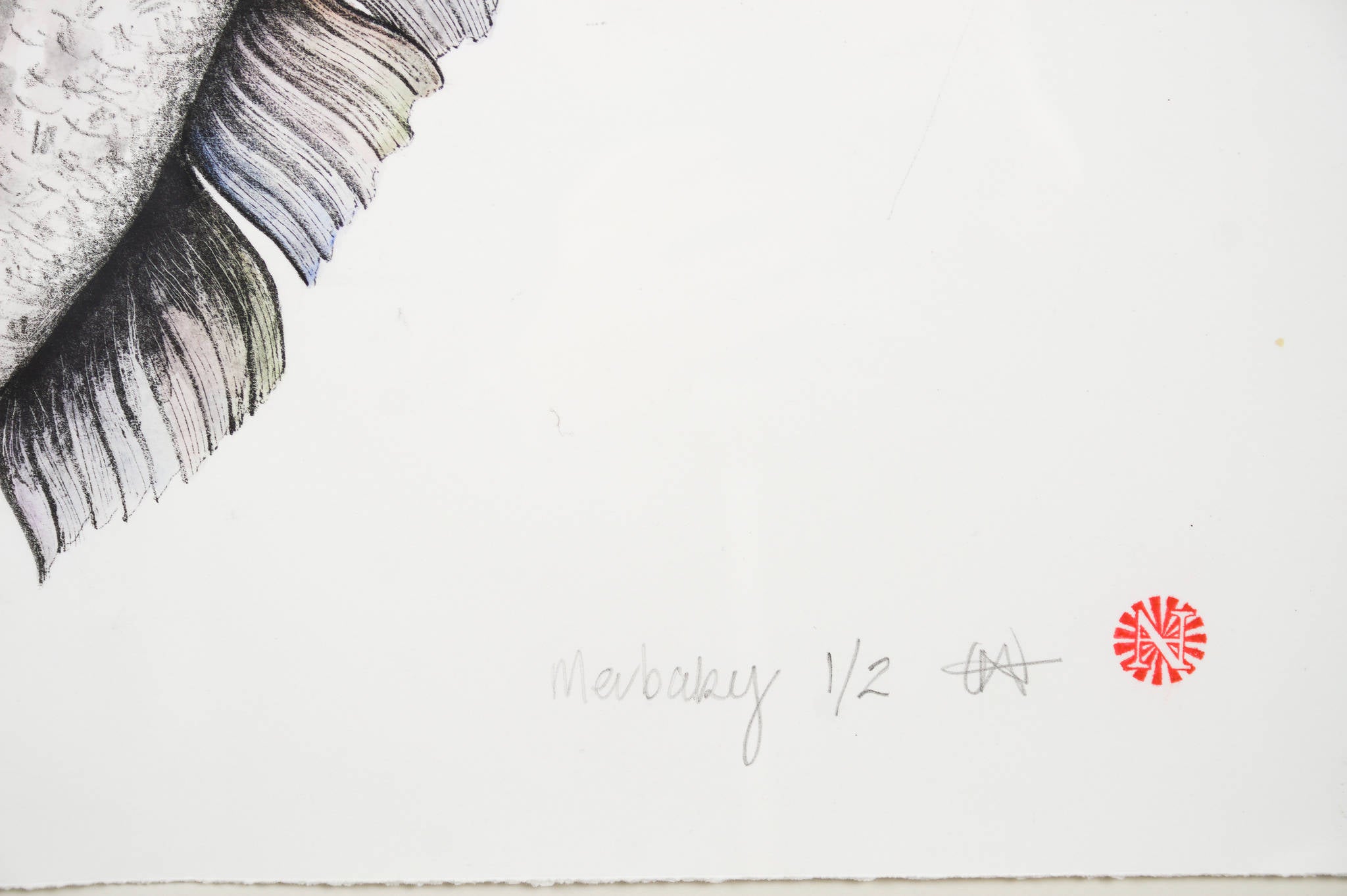 Nicola Hooper 'Merbaby'