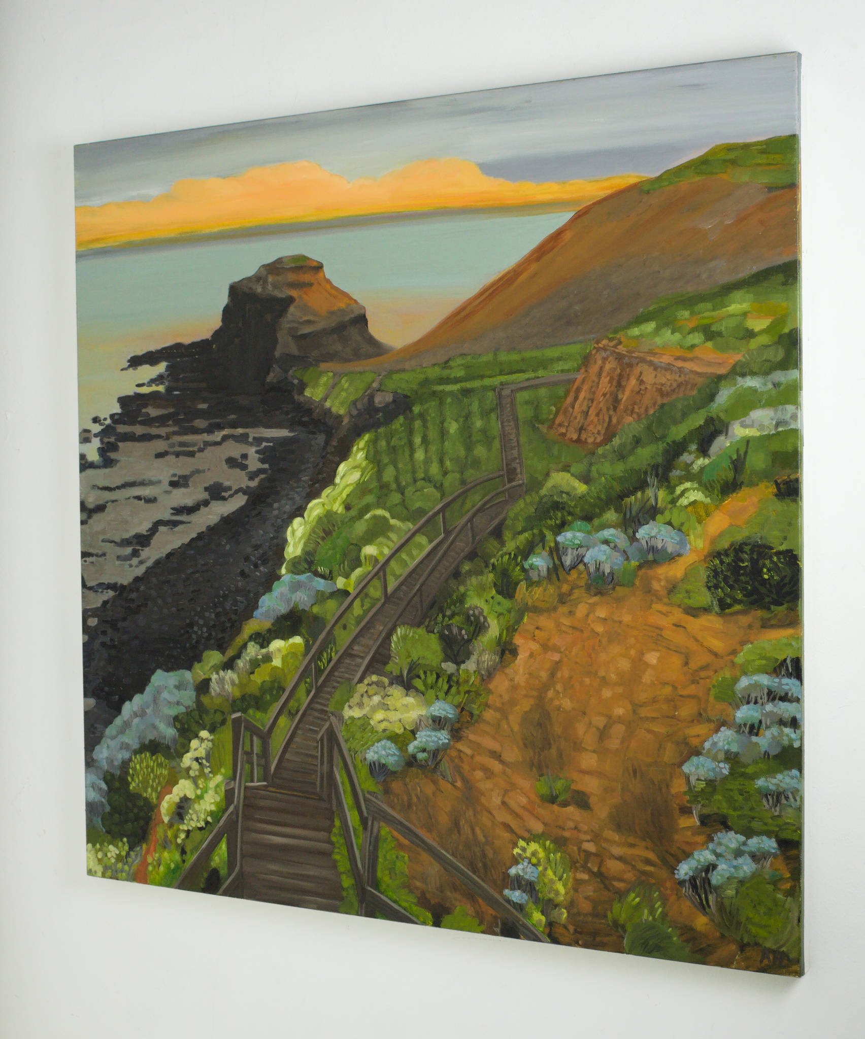 Ann Howie 'Cape Schanck'