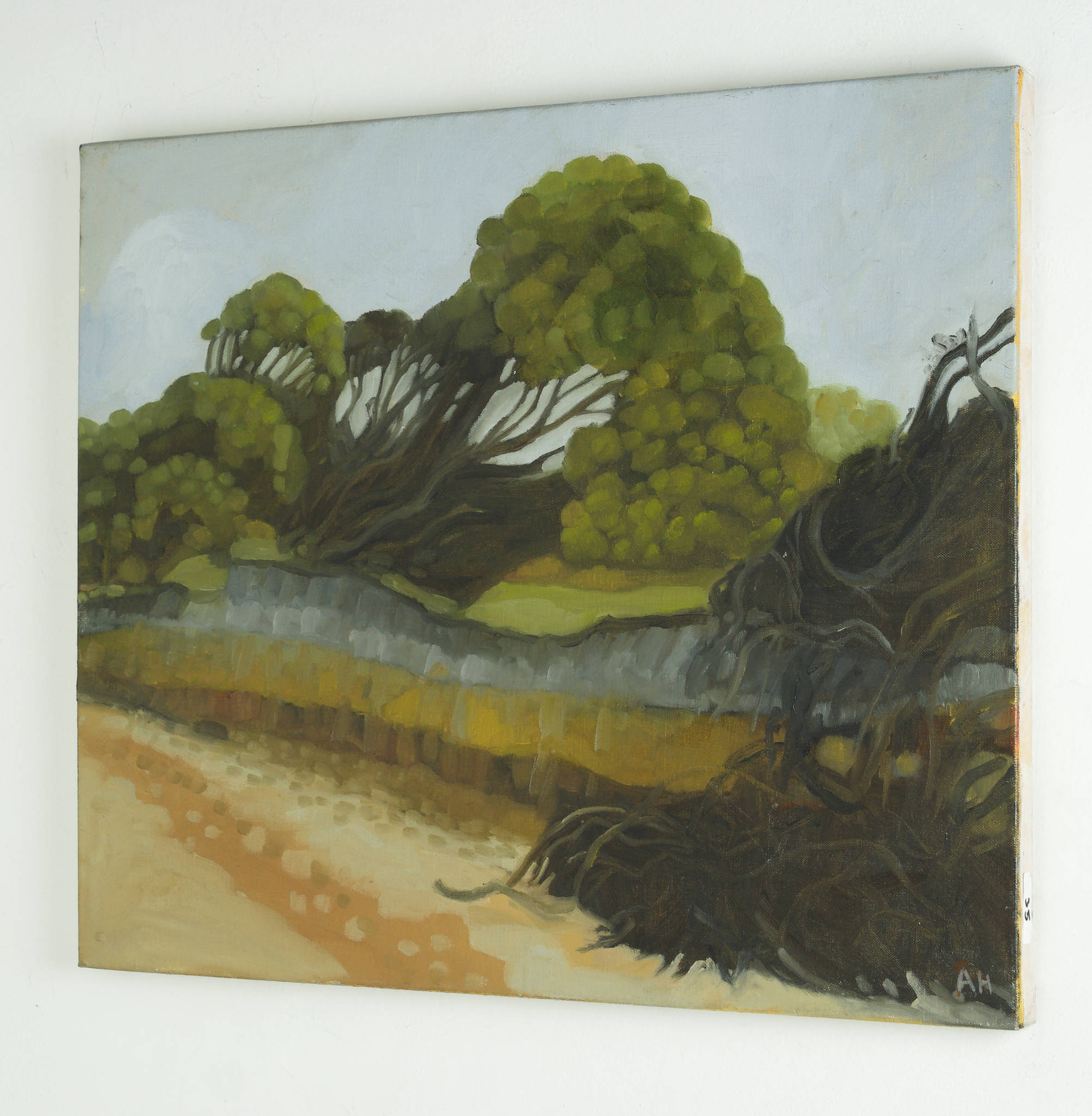 Ann Howie 'Erosion'