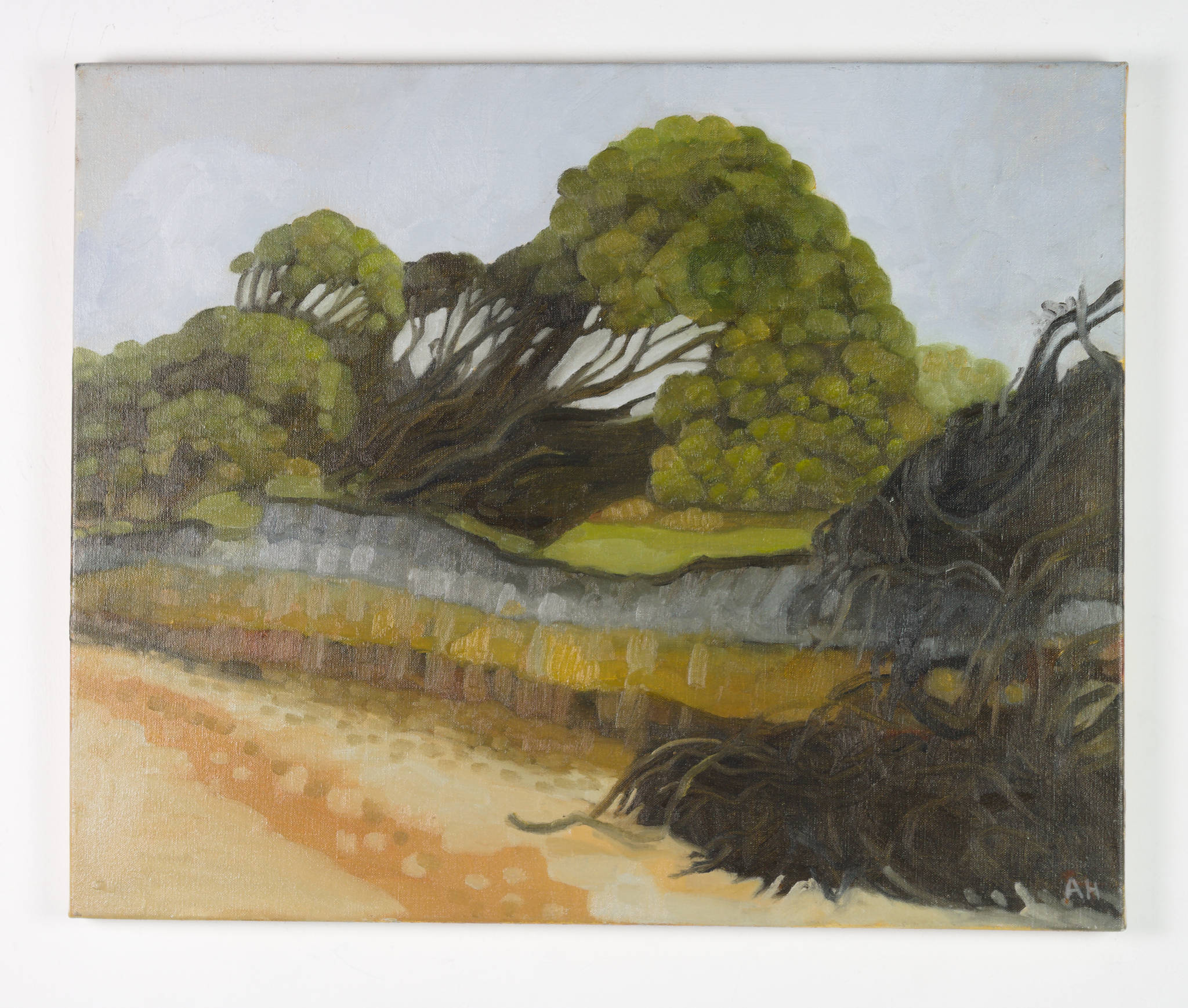 Ann Howie 'Erosion'