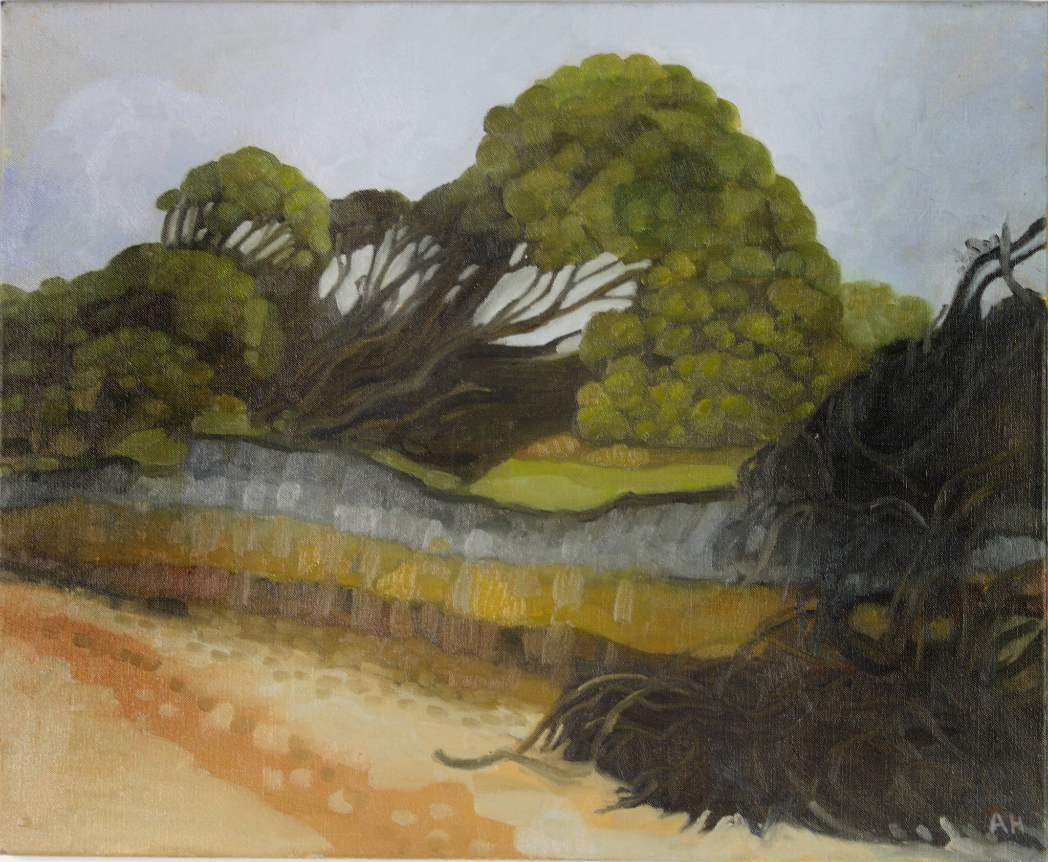 Ann Howie 'Erosion'