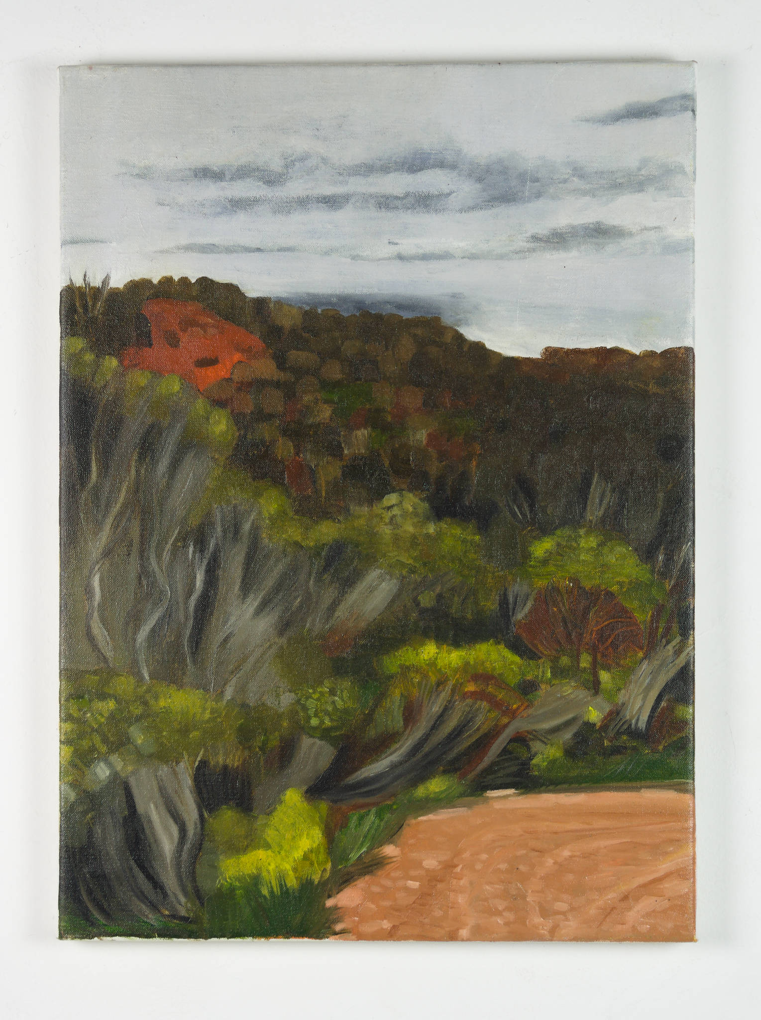 Ann Howie 'Near the Bluff'