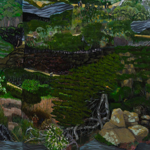 Ann Howie 'Untitled (Three Capes Track, Tasmania)'