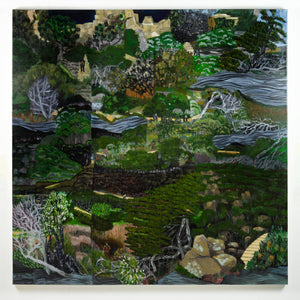 Ann Howie 'Untitled (Three Capes Track, Tasmania)'