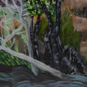 Ann Howie 'Untitled (Three Capes Track, Tasmania)'