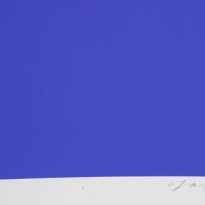 Robert Jacks 'Harlequin Blue Ground'